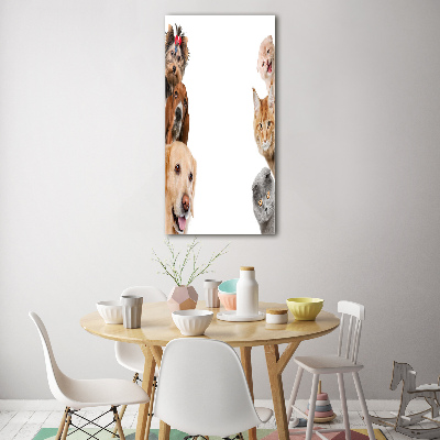 Quadro di vetro verticale Cani e gatti