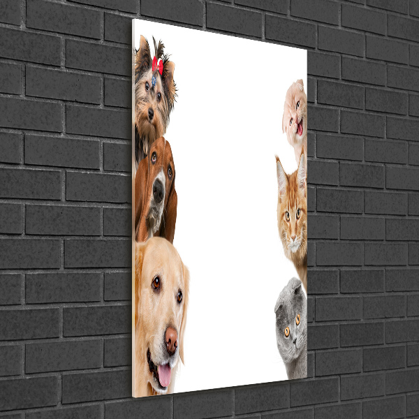 Quadro di vetro verticale Cani e gatti