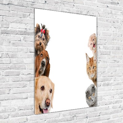 Quadro di vetro verticale Cani e gatti