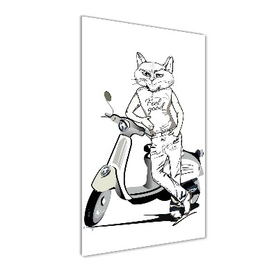 Quadro stampa su vetro verticale Uomo Gatto