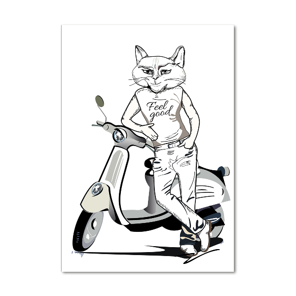 Quadro stampa su vetro verticale Uomo Gatto