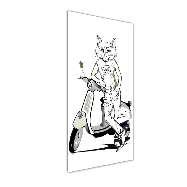 Quadro stampa su vetro verticale Uomo Gatto