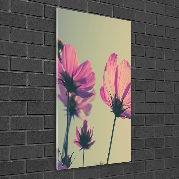 Quadro stampa su vetro verticale Fiori rosa