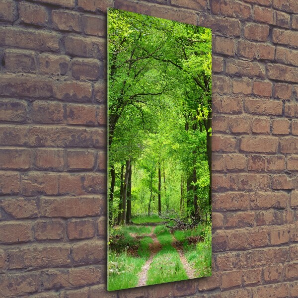 Quadro stampa su vetro verticale Foresta verde