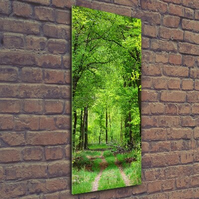 Quadro stampa su vetro verticale Foresta verde