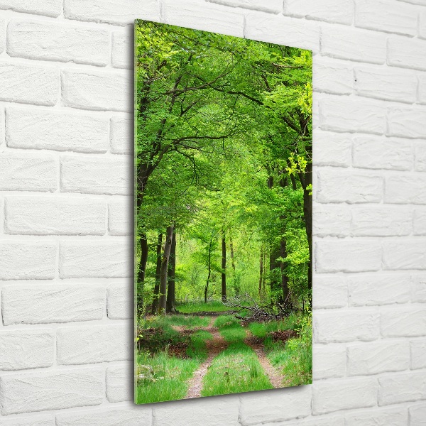 Quadro stampa su vetro verticale Foresta verde