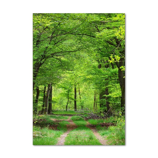 Quadro stampa su vetro verticale Foresta verde