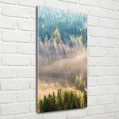 Quadro di vetro verticale Nebbia sulla foresta