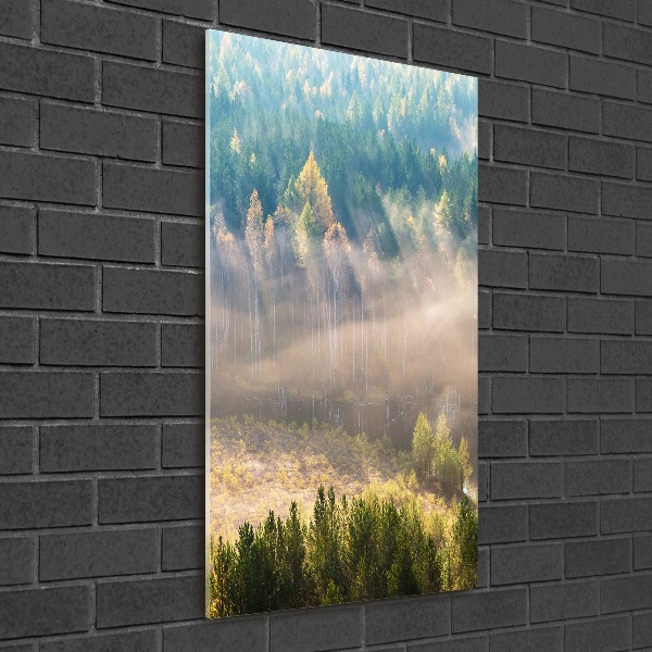 Quadro di vetro verticale Nebbia sulla foresta