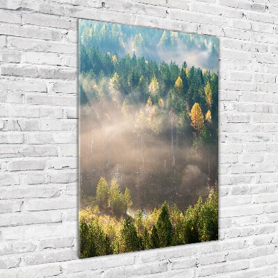 Quadro di vetro verticale Nebbia sulla foresta