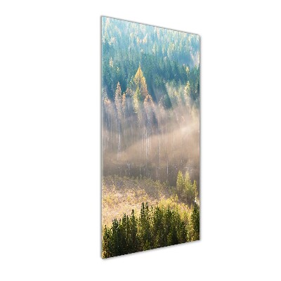 Quadro di vetro verticale Nebbia sulla foresta