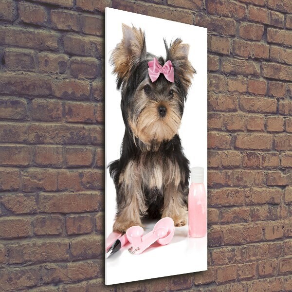 Quadro vetro verticale Cosmetici dello Yorkshire