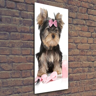 Quadro vetro verticale Cosmetici dello Yorkshire