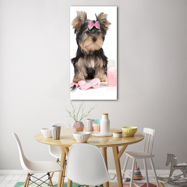 Quadro vetro verticale Cosmetici dello Yorkshire