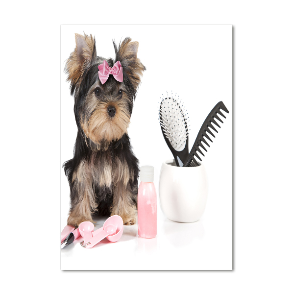 Quadro vetro verticale Cosmetici dello Yorkshire