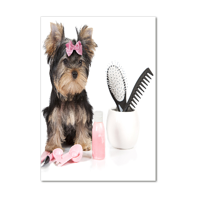 Quadro vetro verticale Cosmetici dello Yorkshire