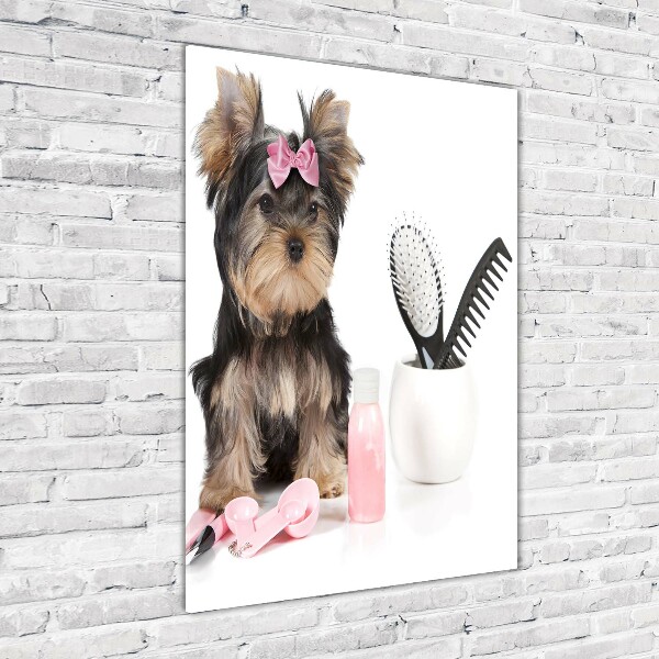 Quadro vetro verticale Cosmetici dello Yorkshire