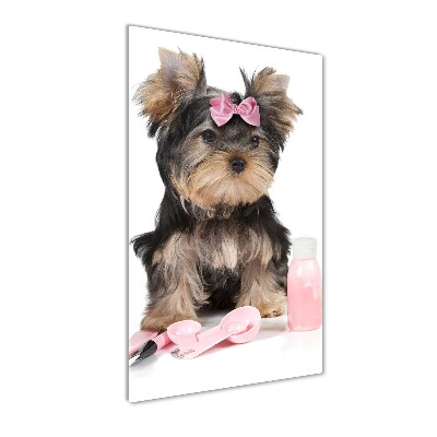 Quadro vetro verticale Cosmetici dello Yorkshire