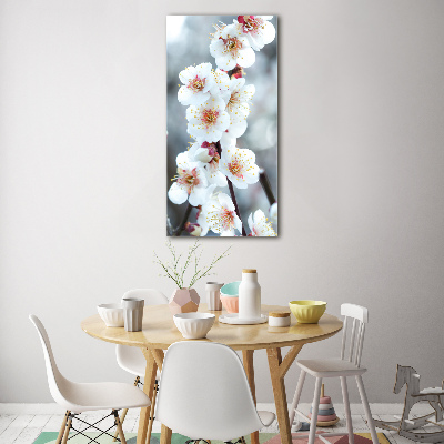Quadro di vetro verticale Fiori di ciliegio