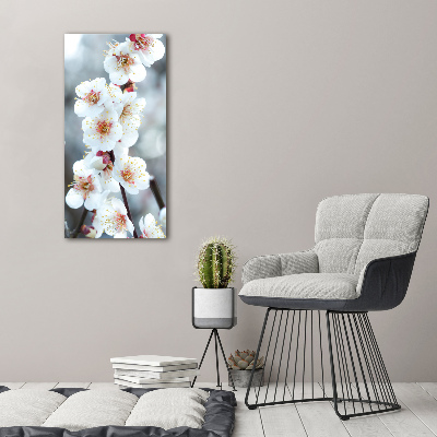 Quadro di vetro verticale Fiori di ciliegio
