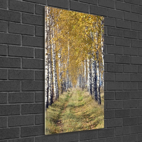 Quadro vetro verticale Foresta di betulle
