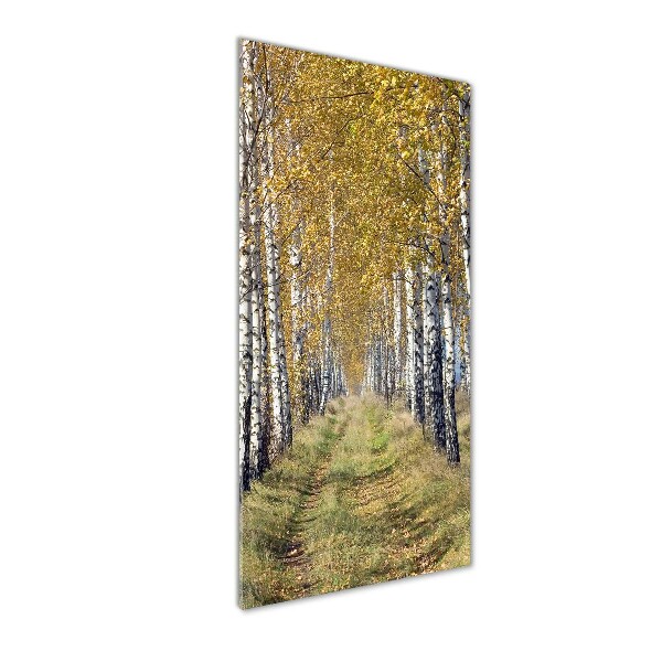 Quadro vetro verticale Foresta di betulle