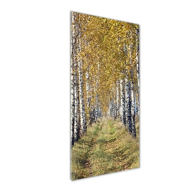 Quadro vetro verticale Foresta di betulle