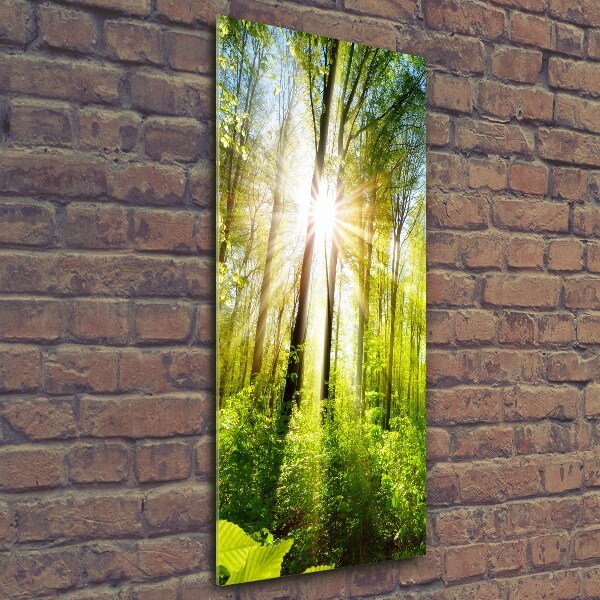 Quadro di vetro verticale Il sole nella foresta