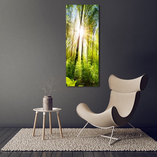 Quadro di vetro verticale Il sole nella foresta