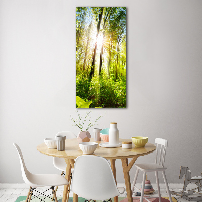 Quadro di vetro verticale Il sole nella foresta