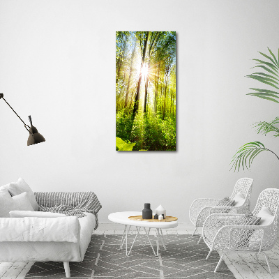 Quadro di vetro verticale Il sole nella foresta