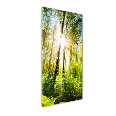 Quadro di vetro verticale Il sole nella foresta