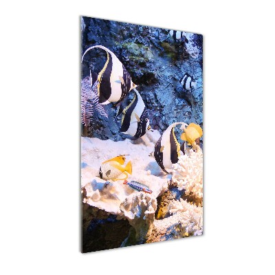 Quadro vetro verticale Barriera corallina
