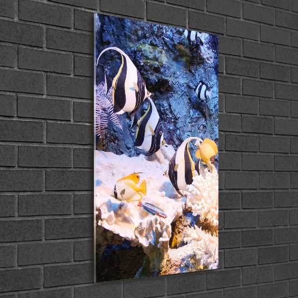 Quadro vetro verticale Barriera corallina