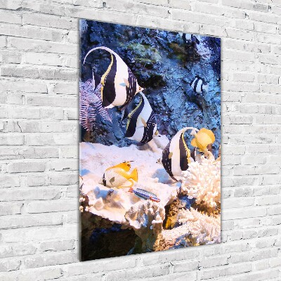 Quadro vetro verticale Barriera corallina