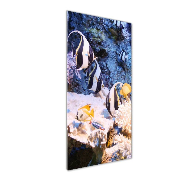 Quadro vetro verticale Barriera corallina