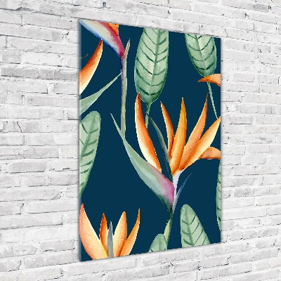 Quadro stampa su vetro verticale Strelitzia reginae