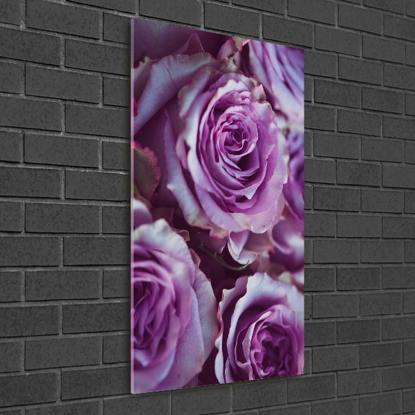 Quadro in vetro verticale Rose viola