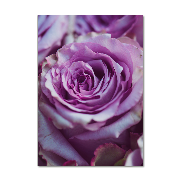 Quadro in vetro verticale Rose viola