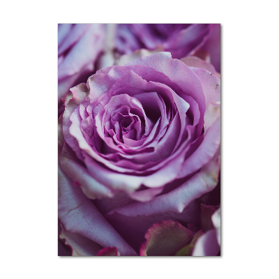 Quadro in vetro verticale Rose viola