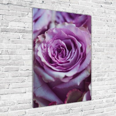 Quadro in vetro verticale Rose viola