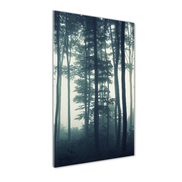 Quadro in vetro verticale Nebbia nella foresta