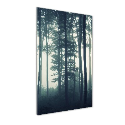 Quadro in vetro verticale Nebbia nella foresta