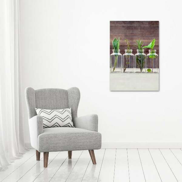 Quadro in vetro verticale Erbe aromatiche in barattolo