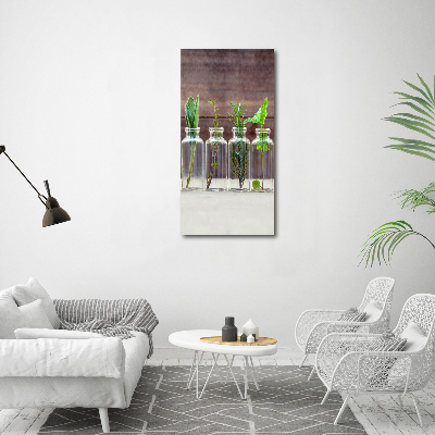 Quadro in vetro verticale Erbe aromatiche in barattolo