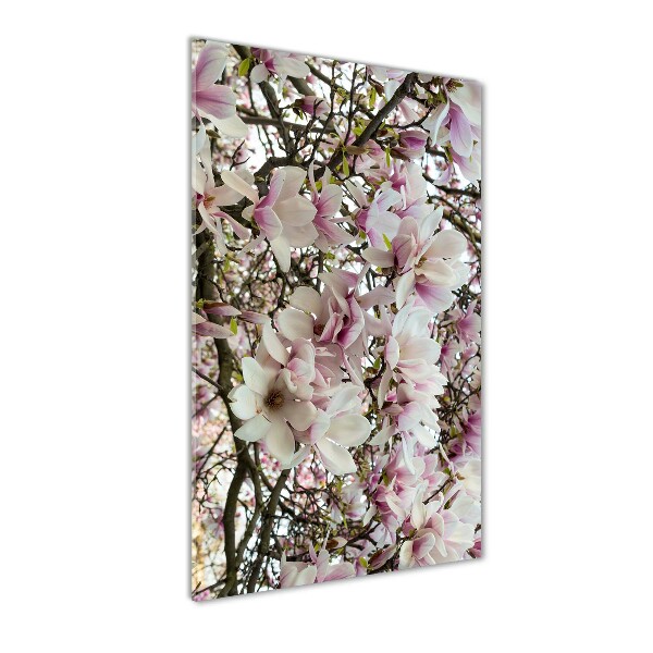 Quadro di vetro verticale Fiori di magnolia