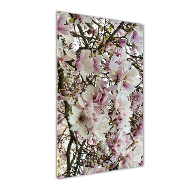 Quadro di vetro verticale Fiori di magnolia