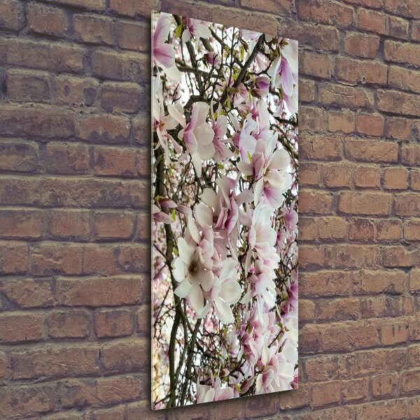 Quadro di vetro verticale Fiori di magnolia