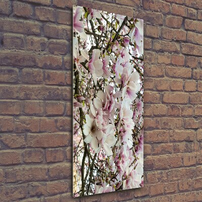 Quadro di vetro verticale Fiori di magnolia