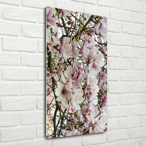 Quadro di vetro verticale Fiori di magnolia